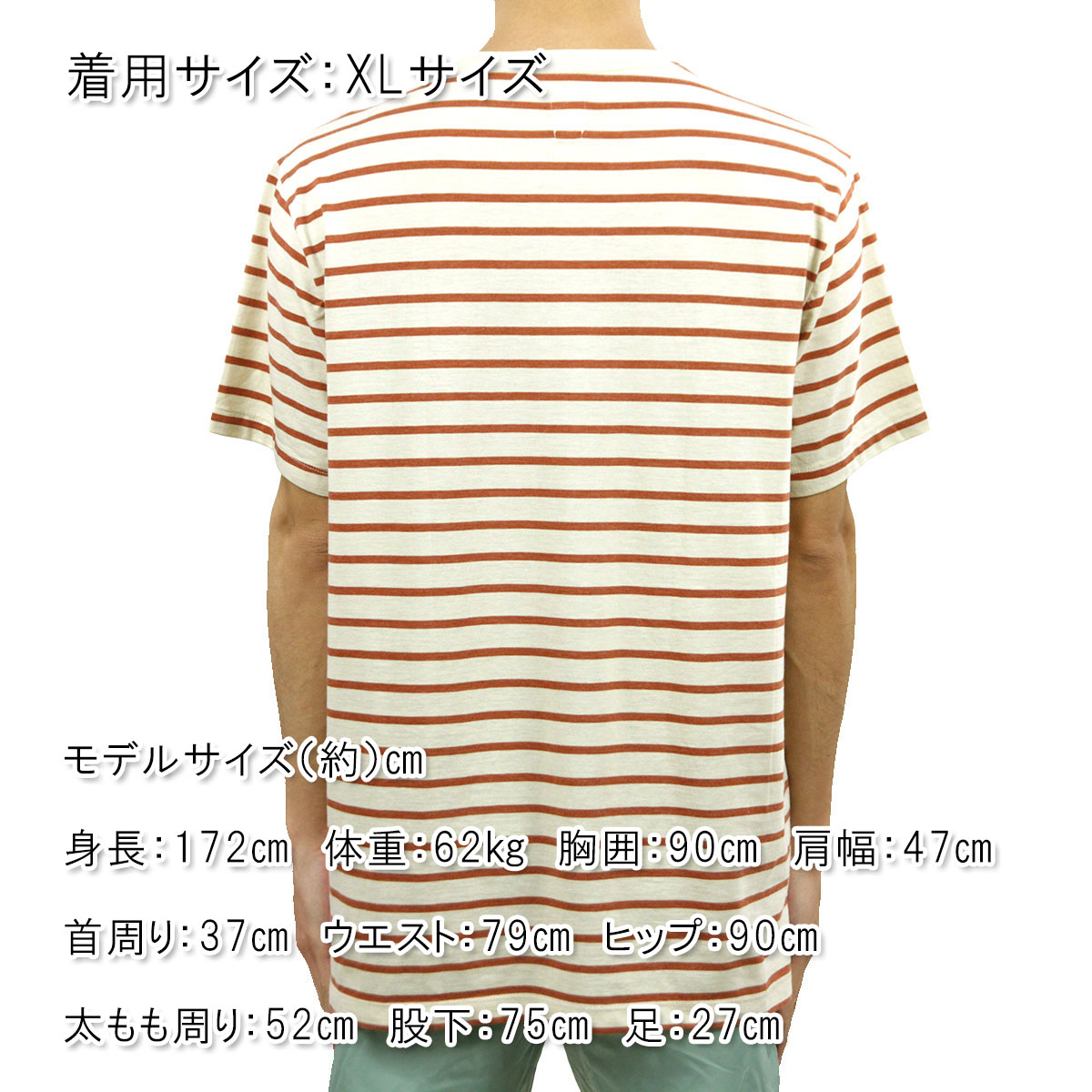 ���������롼 T����� ������ J.CREW ȾµT�����  S/S CREW TEE �١����� A38B B1C C1D D1E E18F
