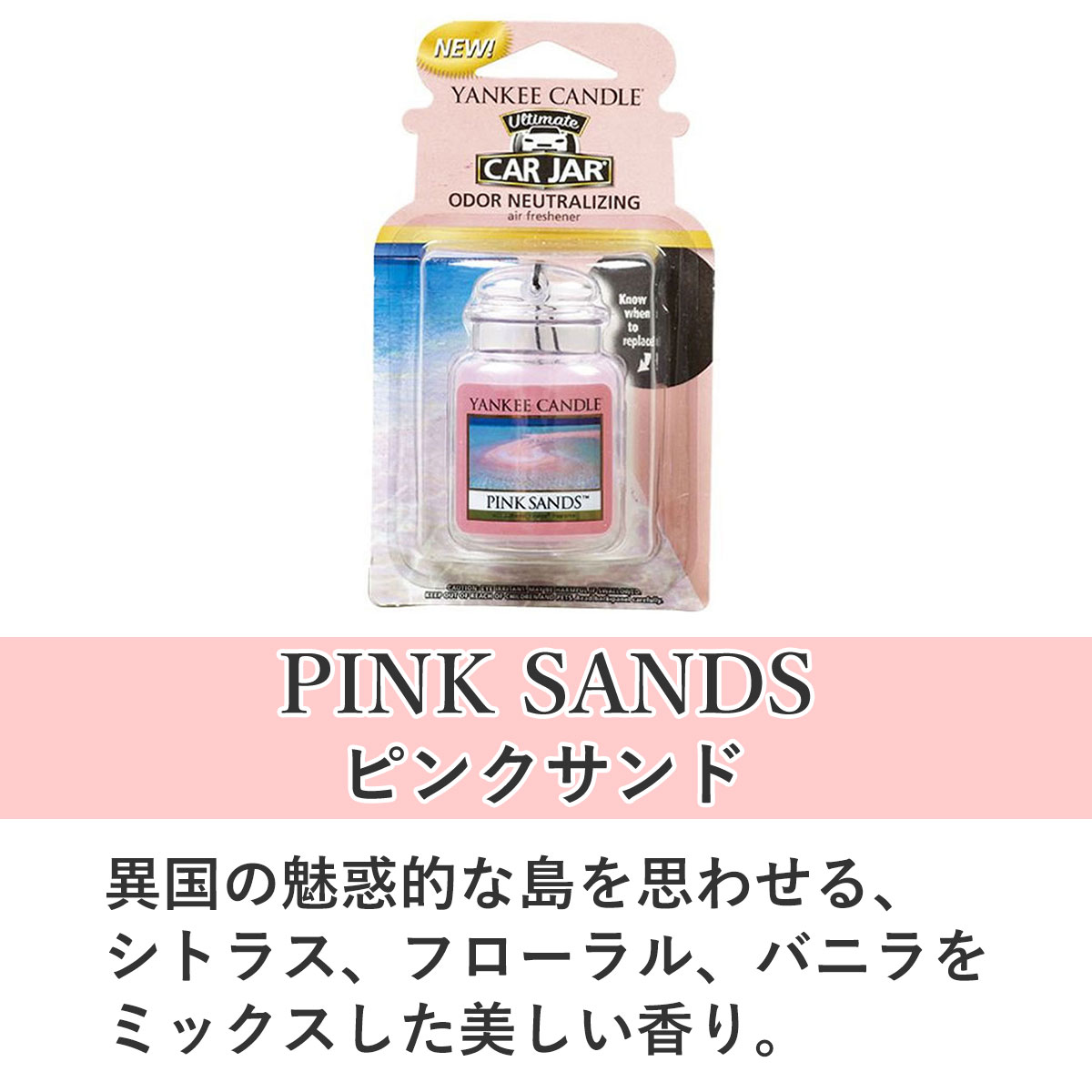 󥭡ɥ YANKEE CANDLE Ź 㡼 YCȎގ ˎߎݎݎĎ (K32305147) A49B B3C C3D D0E E00F