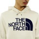 Ρե ѡ   THE NORTH FACE ץ륪Сѡ  THE NORTH FACE M HALF DOME PULLOVER HOODIE VINTAGE WHITE NF0A4M4B A14B B1C C1D D5E E01F