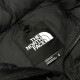 Ρե ٥   THE NORTH FACE  ȥ ̥ץ٥  TNF 1996 RETRO NUPTSE VEST NF0A3JQQ LE4 RECYCLED TNF BLACK A14B B1C C1D D4E E13F