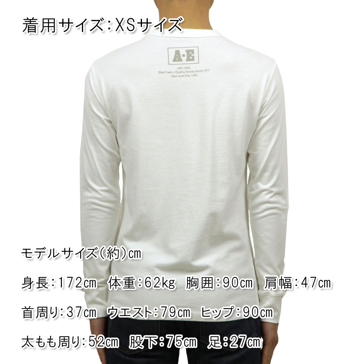 ����ꥫ�󥤡����� ����T ��� ������ AMERICAN EAGLE ĹµT����� AE Long Sleeve Graphic Tee 1182-4072-101