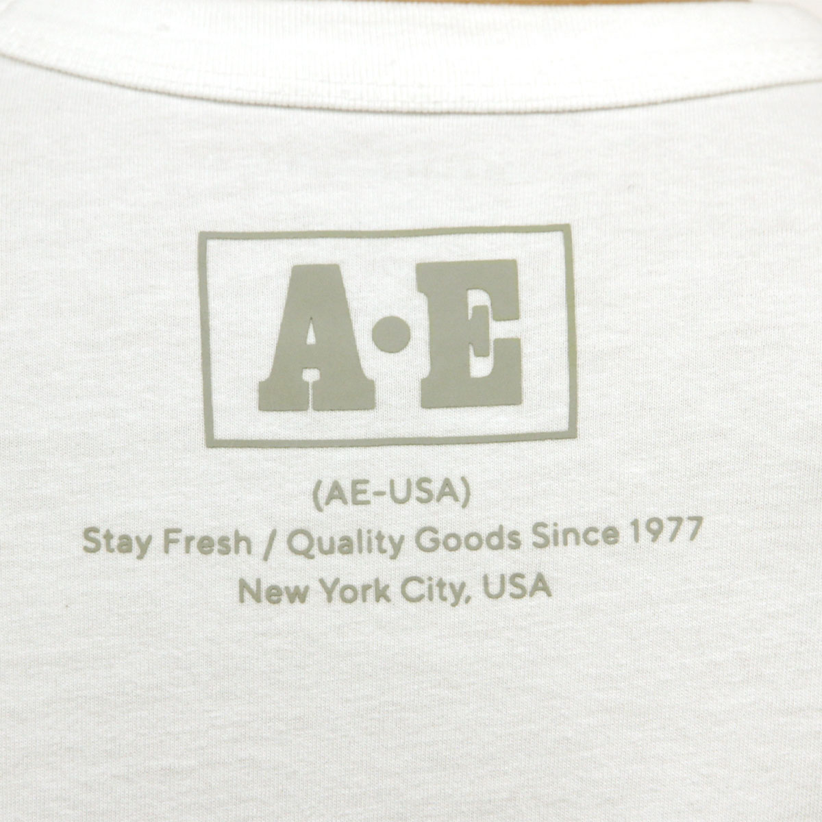 ����ꥫ�󥤡����� ����T ��� ������ AMERICAN EAGLE ĹµT����� AE Long Sleeve Graphic Tee 1182-4072-101