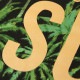 �����å�����ɥ����� �ѡ����� ��� ��������Ź SCOTCH��SODA �ץ륪���С��ѡ�����  HOODIE WITH PALM TREE ALL-OVER PRINT 142589 0217 53829 COMBO A A39B B1C C1D D5E E13F