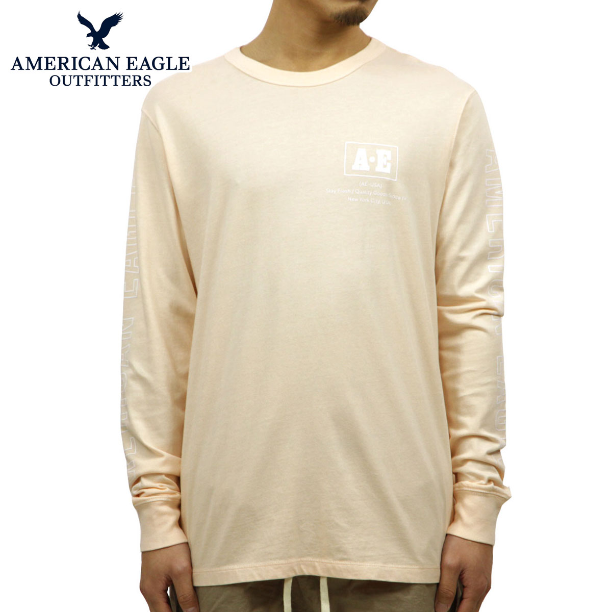 ����ꥫ�󥤡����� ����T ��� ������ AMERICAN EAGLE ĹµT����� AE Long Sleeve Graphic Tee 1182-3969-619