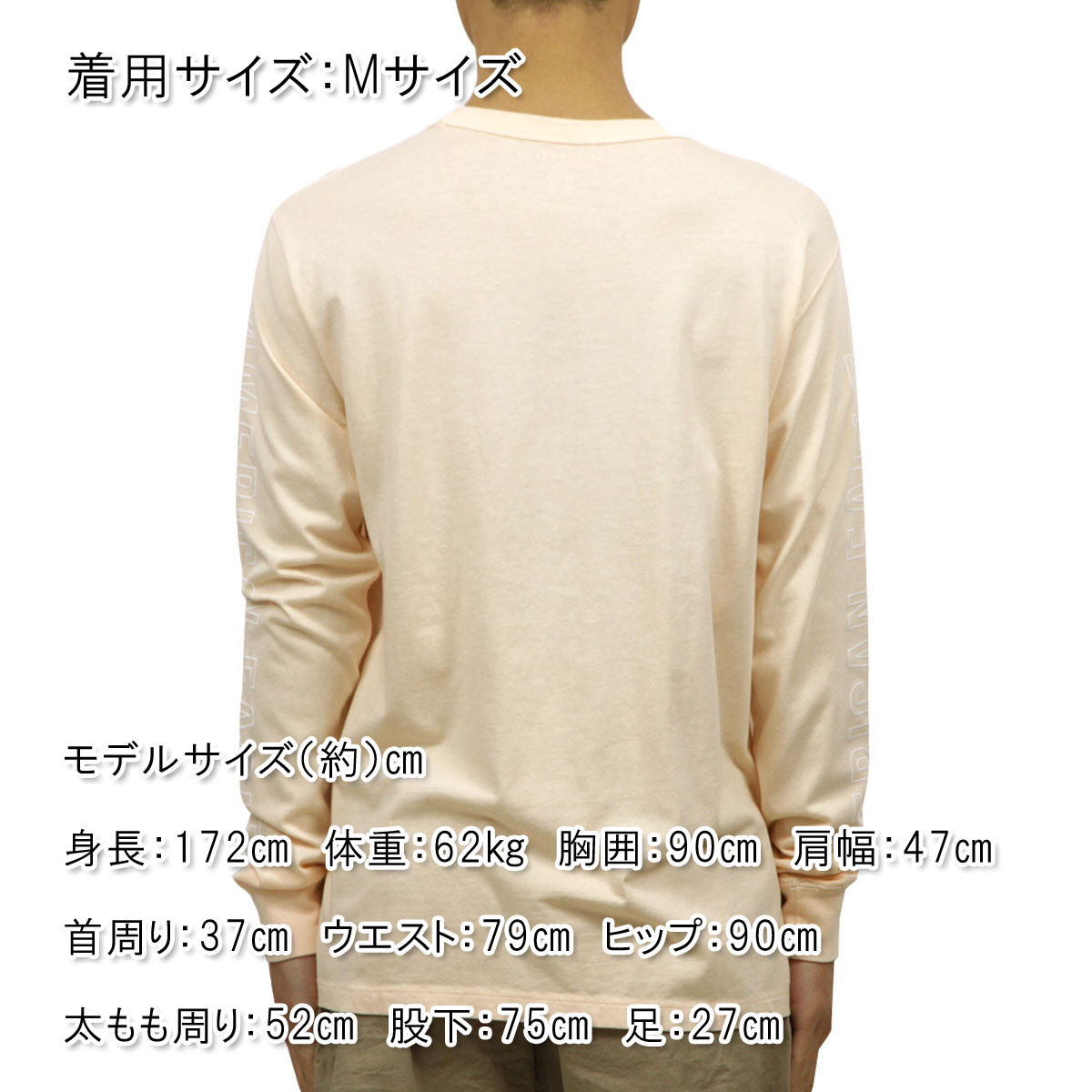 ����ꥫ�󥤡����� ����T ��� ������ AMERICAN EAGLE ĹµT����� AE Long Sleeve Graphic Tee 1182-3969-619