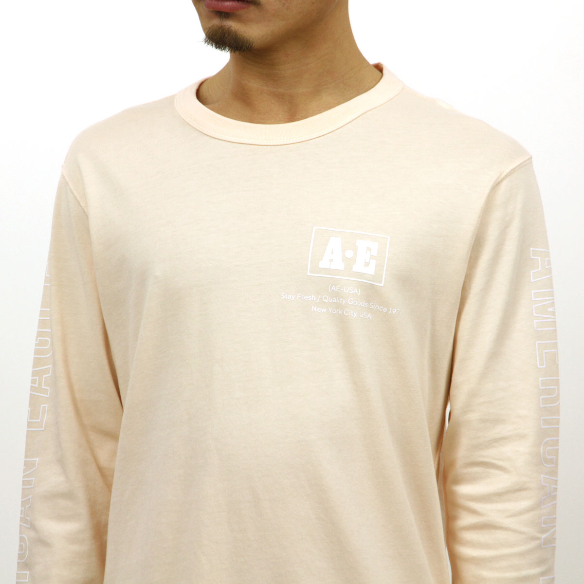 ����ꥫ�󥤡����� ����T ��� ������ AMERICAN EAGLE ĹµT����� AE Long Sleeve Graphic Tee 1182-3969-619