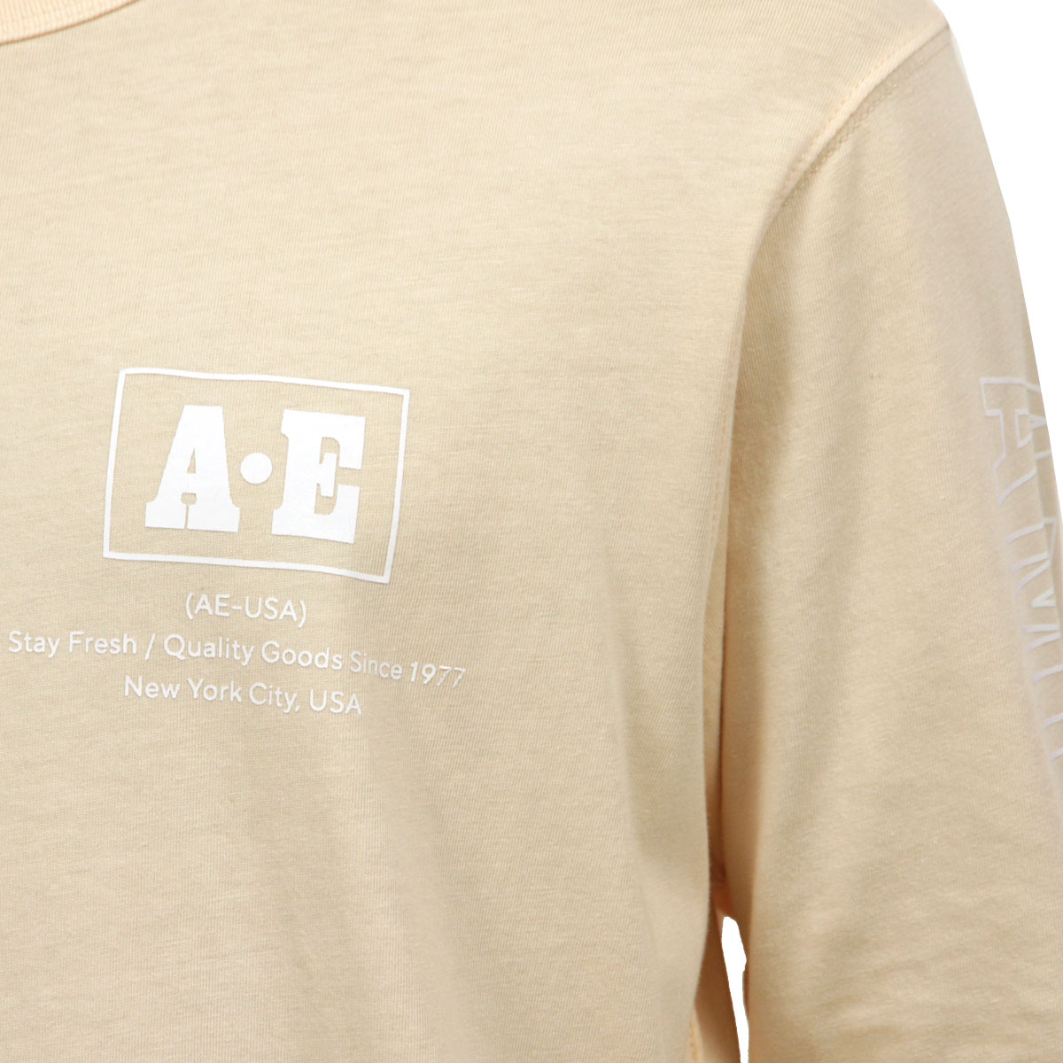 ����ꥫ�󥤡����� ����T ��� ������ AMERICAN EAGLE ĹµT����� AE Long Sleeve Graphic Tee 1182-3969-619