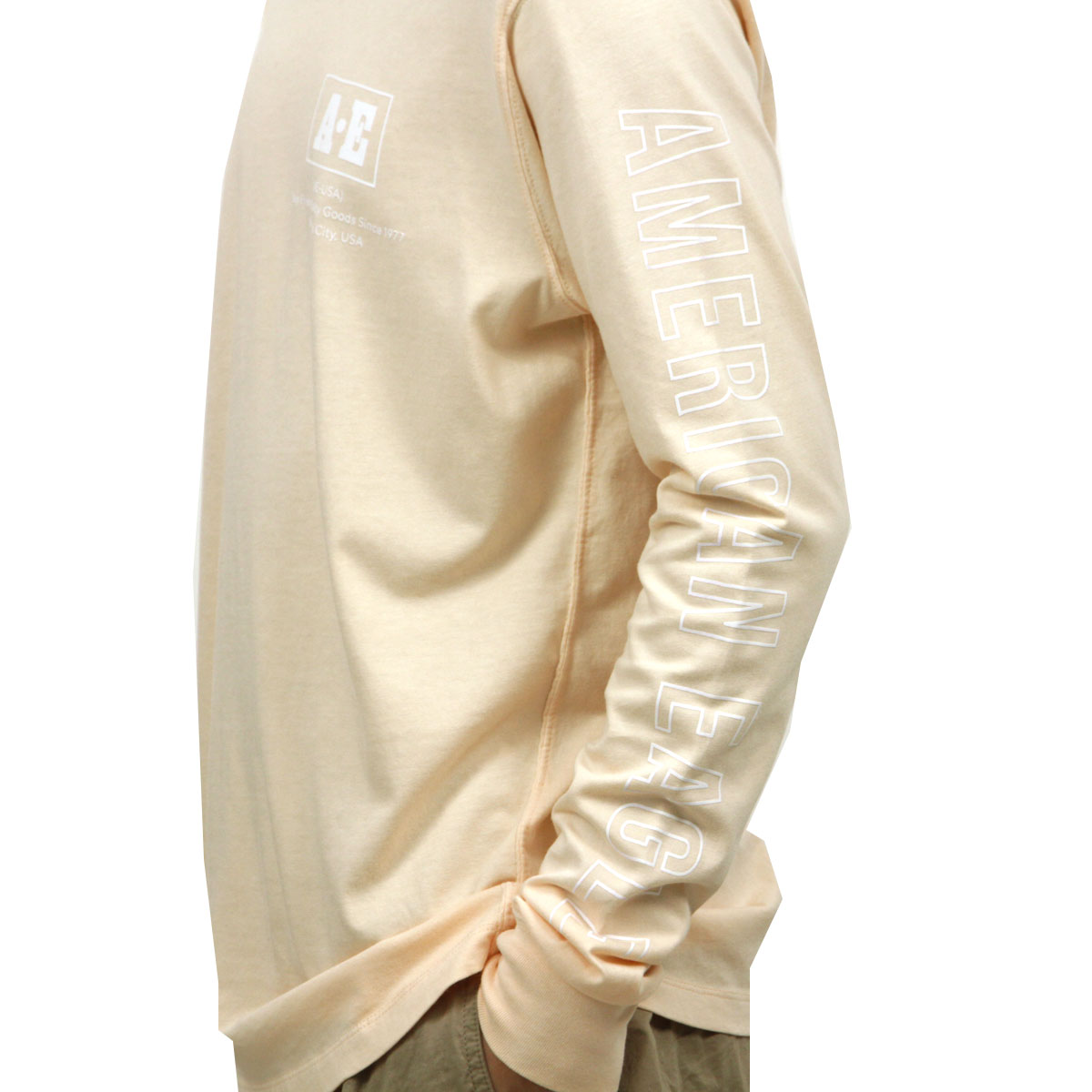 ����ꥫ�󥤡����� ����T ��� ������ AMERICAN EAGLE ĹµT����� AE Long Sleeve Graphic Tee 1182-3969-619