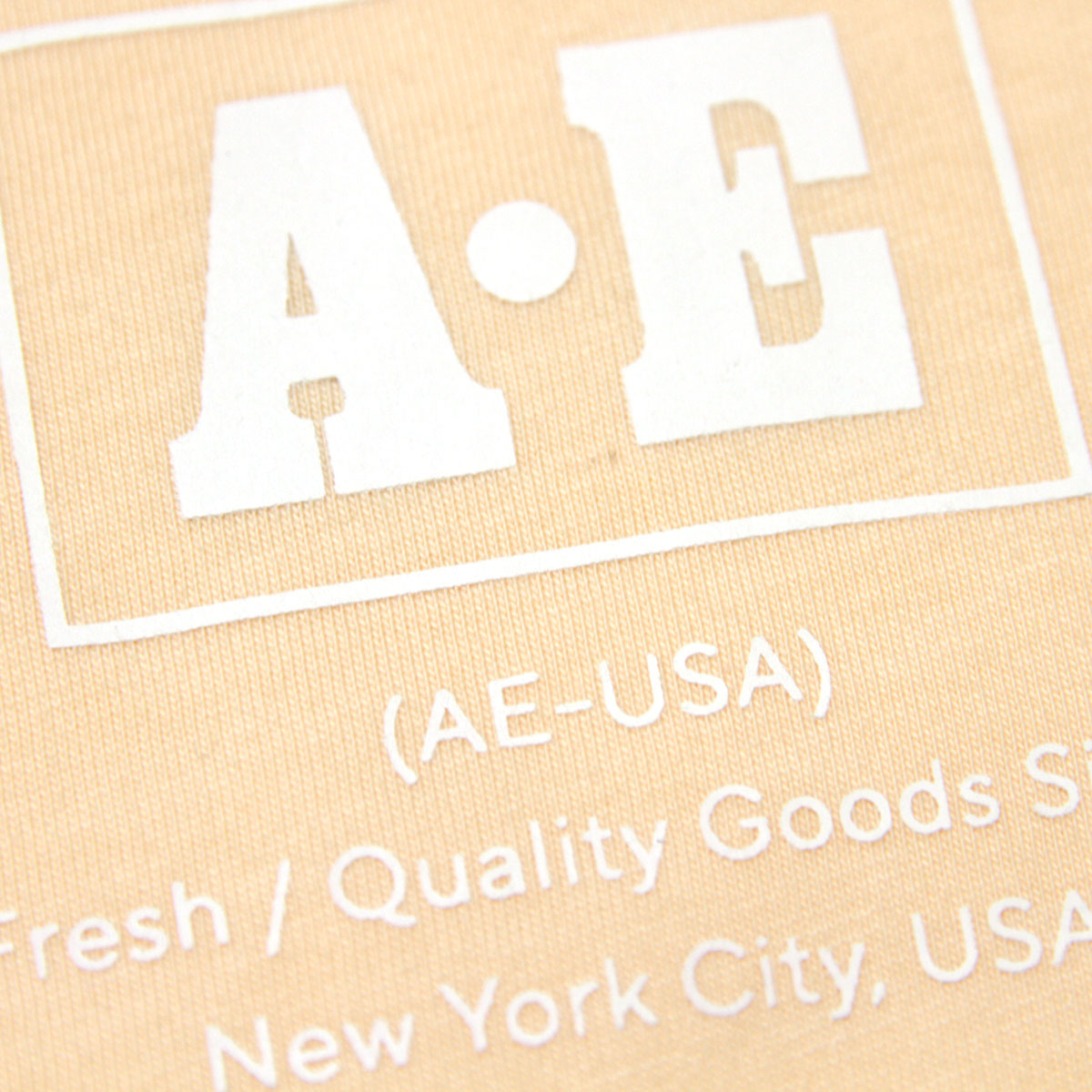 ����ꥫ�󥤡����� ����T ��� ������ AMERICAN EAGLE ĹµT����� AE Long Sleeve Graphic Tee 1182-3969-619