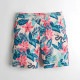 �ۥꥹ���� ���� ��� ������ HOLLISTER ������ѥ��  Stretch Classic Fit Boardshorts 333-340-0596-606 A03B B1C C2D D7E E11F