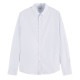 �����å�����ɥ����� ��� Ĺµ����� ��������Ź SCOTCH��SODA �磻����� �ɥ쥹����� BASIC ORGANIC COTTON ELASTANE SLIM FIT SHIRTS 165316 0765 51451 60 BLUE A39B B1C C1D D6E E07F