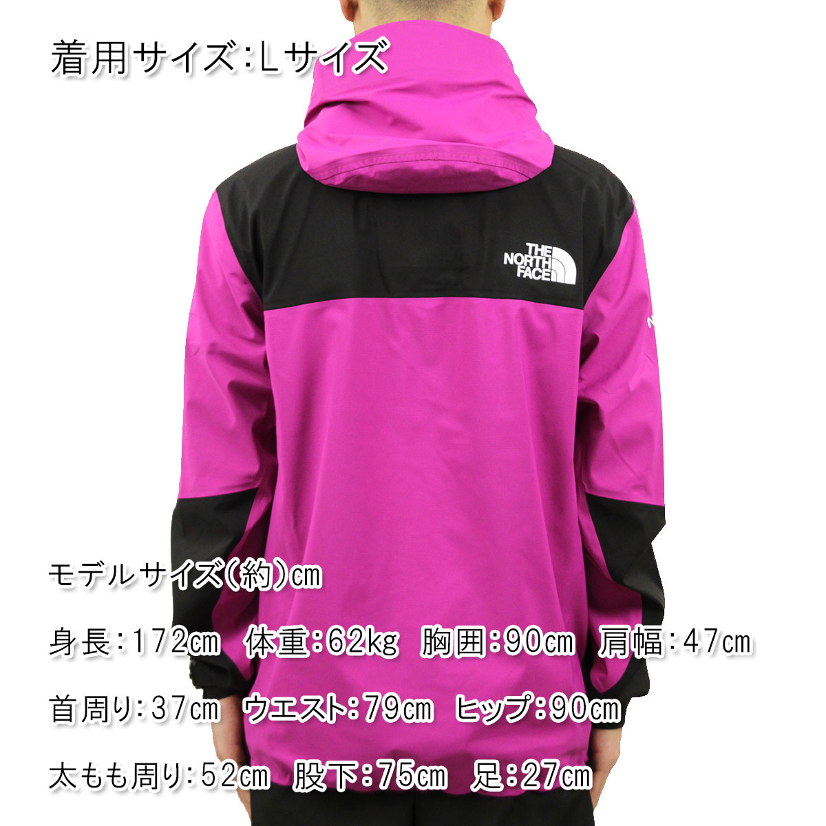 �Ρ����ե����� ���㥱�å� ��� ������ THE NORTH FACE �ե塼���㡼�饤�� �ޥ���ƥ�ѡ����� �������� SEVEN SUMMITS 7SE FUTURELIGHT JACKET NF0A4AIQ WILD ASTER PURPLE A14B B1C C1D D4E E24F