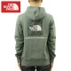 Ρե ѡ   THE NORTH FACE ץ륪Сѡ  BOX NSE PULLOVER HOODIE NF0A4761 HBS BALSAM GREEN A14B B1C C1D D5E E08F