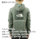 Ρե ѡ   THE NORTH FACE ץ륪Сѡ  BOX NSE PULLOVER HOODIE NF0A4761 HBS BALSAM GREEN A14B B1C C1D D5E E08F