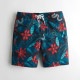 �ۥꥹ���� ���� ��� ������ HOLLISTER ������ѥ��  Stretch Classic Fit Boardshorts 333-340-0596-206 A03B B1C C2D D7E E06F