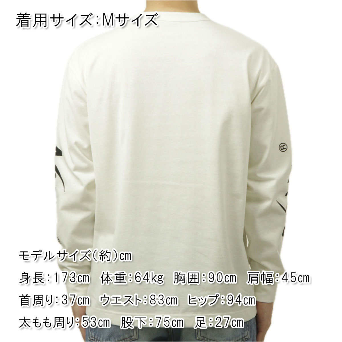 �ʥ� ��� ĹµT����� ��������Ź NANGA ���롼�ͥå� µ���� ����T ECOHYBRID SLV LOGO L/S TEE N2500-1L030A WHT WHITE