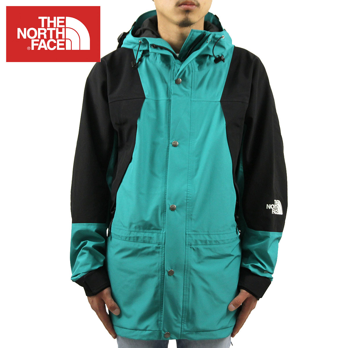 �Ρ����ե����� ���㥱�å� ��� ������ THE NORTH FACE �ե塼���㡼�饤�� �ޥ���ƥ�ѡ����� �������� 1994 RETRO MOUNTAIN LIGHT FUTURELIGHT JACKET NF0A4R52 JAIDEN GREEN A14B B1C C1D D4E E08F