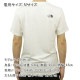 �Ρ����ե����� ��� ȾµT����� ������ THE NORTH FACE ���롼�ͥå� ���� �ȥåץ� �������� FOUNDATION COORDINATE SHORT SLEEVE TEE NF0A882Z V3L GARDNIAWT / GARDNIAWT / TNFBK