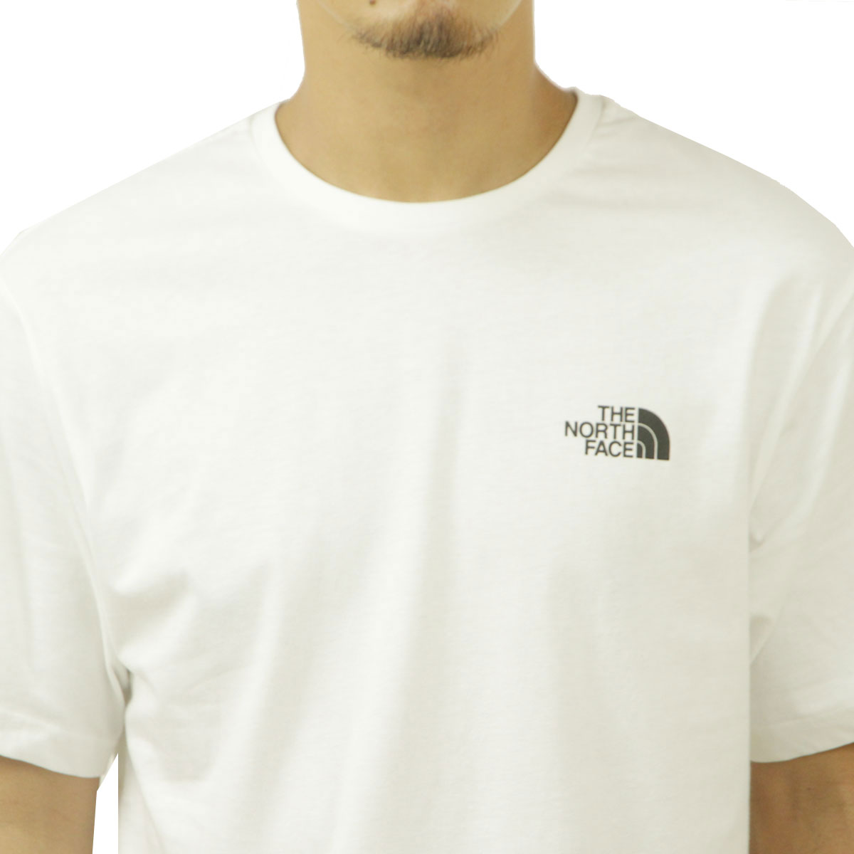 �Ρ����ե����� ��� ȾµT����� ������ THE NORTH FACE ���롼�ͥå� �Хå��ץ��� �������� SHORT SLEEVE FESTIVAL TEE NF0A8799 FN4 TNF WHITE