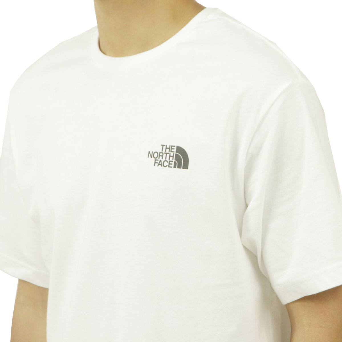 �Ρ����ե����� ��� ȾµT����� ������ THE NORTH FACE ���롼�ͥå� �Хå��ץ��� �������� SHORT SLEEVE FESTIVAL TEE NF0A8799 FN4 TNF WHITE