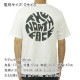 �Ρ����ե����� ��� ȾµT����� ������ THE NORTH FACE ���롼�ͥå� �Хå��ץ��� �������� SHORT SLEEVE FESTIVAL TEE NF0A8799 FN4 TNF WHITE