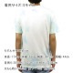 ԥ T   CHAMPION ȾµT T CLOUD DYE SHORT SLEEVE TEE T5872549724 Z2S BLUE/GREEN AA4B B1C C1D D1E E01F
