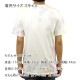 ԥ T   CHAMPION ȾµT T CLOUD DYE SHORT SLEEVE TEE T5872549724 BHR MULTI AA4B B1C C1D D1E E01F
