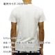 ����ꥫ�󥤡����� AMERICAN EAGLE ������ ��� ���롼�ͥå� Ⱦµ����T����� AE Graphic Tee 0181-3806-100 A04B B1C C1D D1E E01F