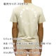 ����ꥫ�󥤡����� T����� ������ AMERICAN EAGLE ȾµT����� ���롼�ͥå�T����� AE SHORT SLEEVE GRAPHIC T-SHIRT 0181-4231-209 A04B B1C C1D D1E E18F