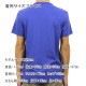 ����ꥫ�󥤡����� AMERICAN EAGLE ������ ��� ���롼�ͥå� Ⱦµ����T����� AE BRANDED GRAPHIC TEE 0181-3670-403 A04B B1C C1D D1E E07F