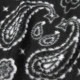 ������������ �֥�󥱥å� ��������Ź SLOWTIDE ������ �ӡ��������� PAISLEY PARK BLANKET ST479 BLACK A97B B3C CBD D0E E13F