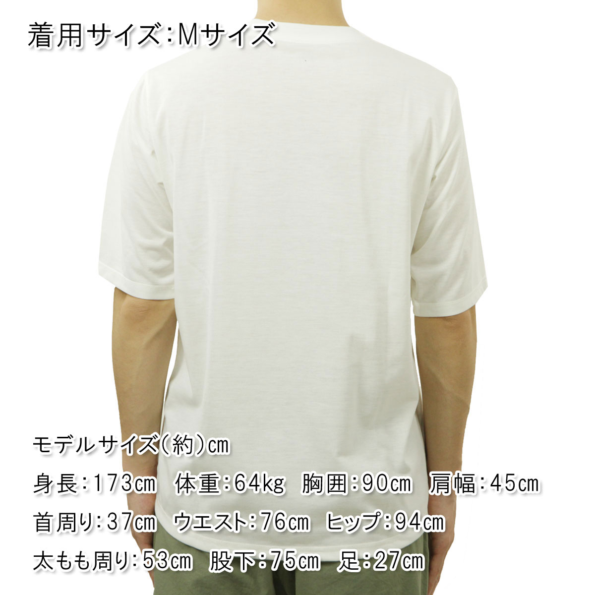 �ʥ� ��� ȾµT����� ��������Ź NANGA �ݥꥨ���ƥ� �ե졼����� DRY MIX FRAME LOGO TEE N2500-1M509A WHITE A16B B1C C1D D1E E01F