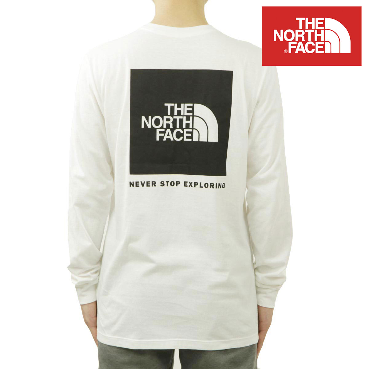 �Ρ����ե����� ��� ����T ������ THE NORTH FACE �Хå��ץ��� ĹµT����� �������� LONG SLEEVE BOX NSE TEE NF0A87NN FN4 WHITE A14B B1C C1D D2E E13F