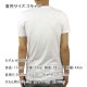 �����å�����ɥ����� T����� ��� ��������Ź SCOTCH��SODA ȾµT����� ���롼�ͥå�T����� SUMMER CREWNECK TEE WITH BRIGHT TEXT ARTWORK 148997 0006 WHITE A39B B1C C1D D1E E01F