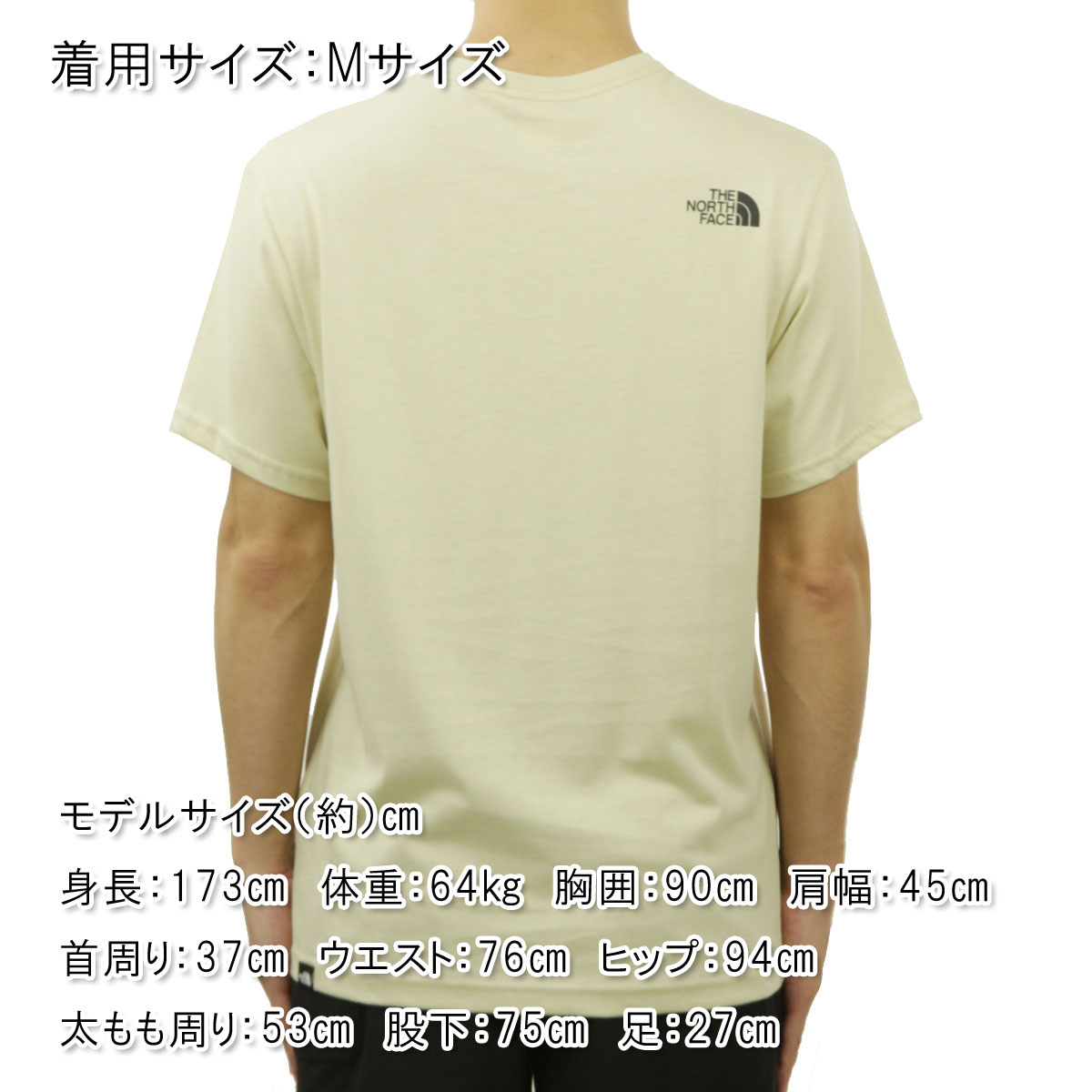 �Ρ����ե����� ��� ȾµT����� ������ THE NORTH FACE ���롼�ͥå� ���� SHORT SLEEVE FINE TEE - EU NF00CEQ5 3X4 GRAVEL