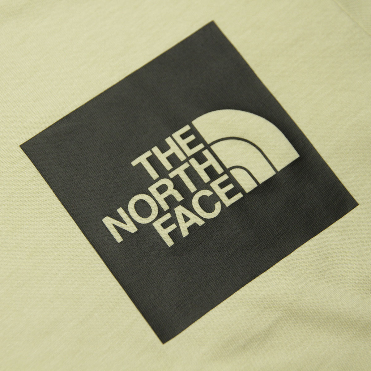�Ρ����ե����� ��� ȾµT����� ������ THE NORTH FACE ���롼�ͥå� ���� SHORT SLEEVE FINE TEE - EU NF00CEQ5 3X4 GRAVEL