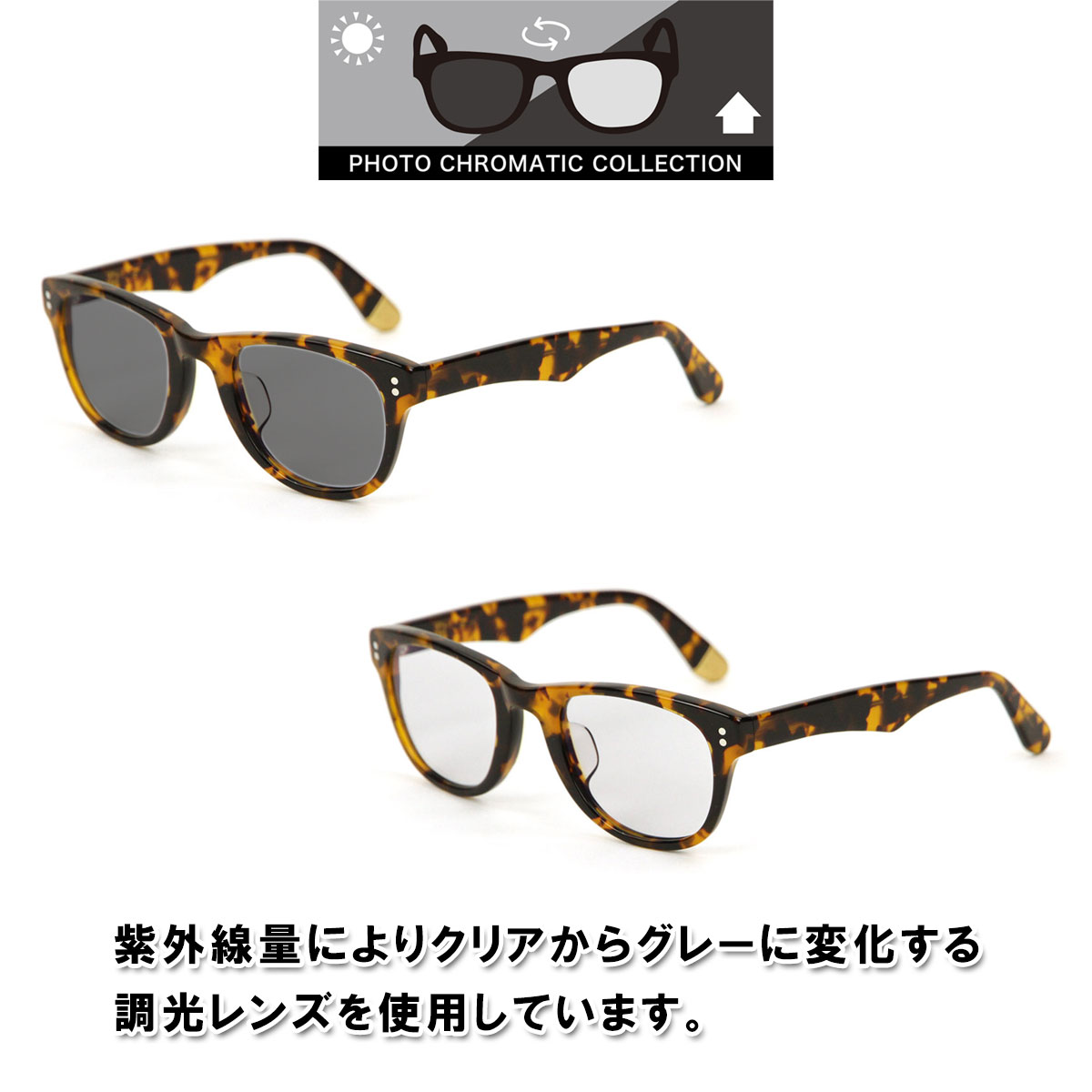 С SABRE Ź 󥰥饹 ᤬ CHEVELLE TORTOISE FRAME CLEAR TO GREY LENS SS8-501T-CTG-J A55B B3C C3D D1E E04F