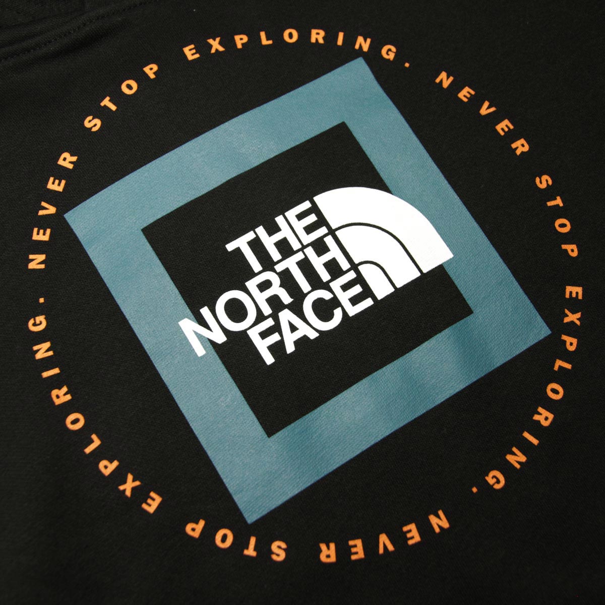 Ρե  ѡ  THE NORTH FACE  ץ륪С աǥ  GEO NSE PULLOVER HOODIE NF0A7UO7 VPA TNF BLACK / HARBOR BLUE