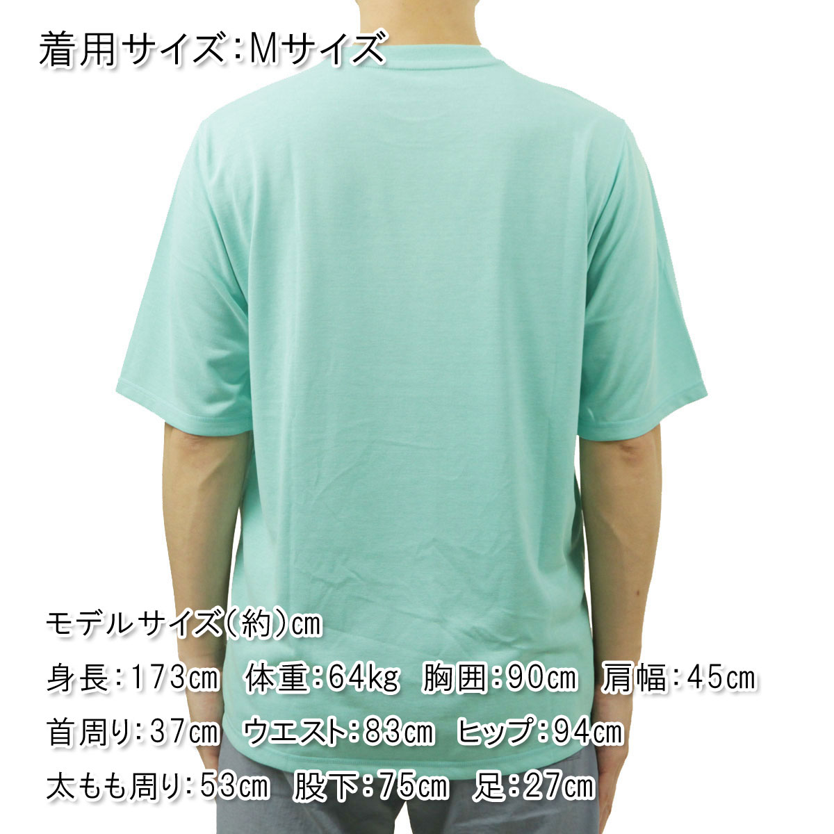 �ʥ� ��� ȾµT����� ��������Ź NANGA �ݥꥨ���ƥ� �ե졼����� DRY MIX FRAME LOGO TEE N2500-1M509A TQS TURQUOISE