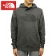 Ρե ѡ   THE NORTH FACE  ץ륪Сѡ Half Dome Logo Hoodie Sweatshirt A14B B1C C1D D5E E02F