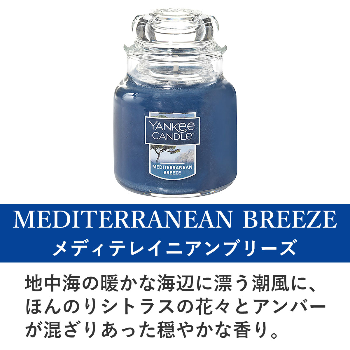 󥭡ɥ ޥɥ Ź YANKEE CANDLE 㡼S ޥɥ YCގS ҎÎގÎڎƎݎ̎ގ؎ K00305301 A49B B3C C3D D0E E00F