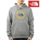 Ρե  ѡ  THE NORTH FACE  ץ륪С աǥ  GEO NSE PULLOVER HOODIE NF0A7UO7 85C TNF MEDIUM GREY HEATHER / MINERAL GOLD