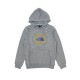 Ρե  ѡ  THE NORTH FACE  ץ륪С աǥ  GEO NSE PULLOVER HOODIE NF0A7UO7 85C TNF MEDIUM GREY HEATHER / MINERAL GOLD
