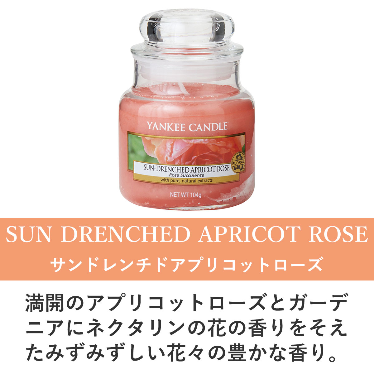 󥭡ɥ ޥɥ Ź YANKEE CANDLE 㡼S ޥɥ YCގS ݎĎގڎݎĎގ̎ߎ؎Ďێ K00305316 A49B B3C C3D D0E E00F