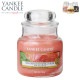 󥭡ɥ ޥɥ Ź YANKEE CANDLE 㡼S ޥɥ YCގS ݎĎގڎݎĎގ̎ߎ؎Ďێ K00305316 A49B B3C C3D D0E E00F
