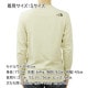 �Ρ����ե����� ��� ĹµT����� ������ THE NORTH FACE ���롼�ͥå� ���� LONG SLEEVE FINE TEE - EU NF0A37FT 3X4 GRAVEL