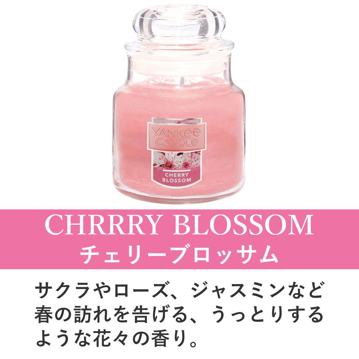 󥭡ɥ ޥɥ Ź YANKEE CANDLE 㡼S ޥɥ YCގS ؎̎ގێ K0030589 A49B B3C C3D D0E E00F