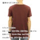 ̡ǥ T Ź Nudie Jeans ȾµT 롼ͥå ROGER SLUB CREW TEE SHIRT PLUM P03 131484 A62B B1C C1D D1E E11F