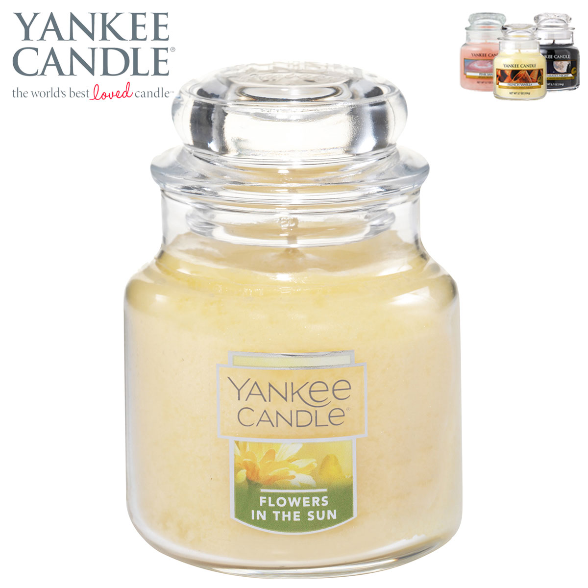 󥭡ɥ ޥɥ Ź YANKEE CANDLE 㡼S ޥɥ YCގS ̎׎܎ݎގ K00305274 A49B B3C C3D D0E E00F