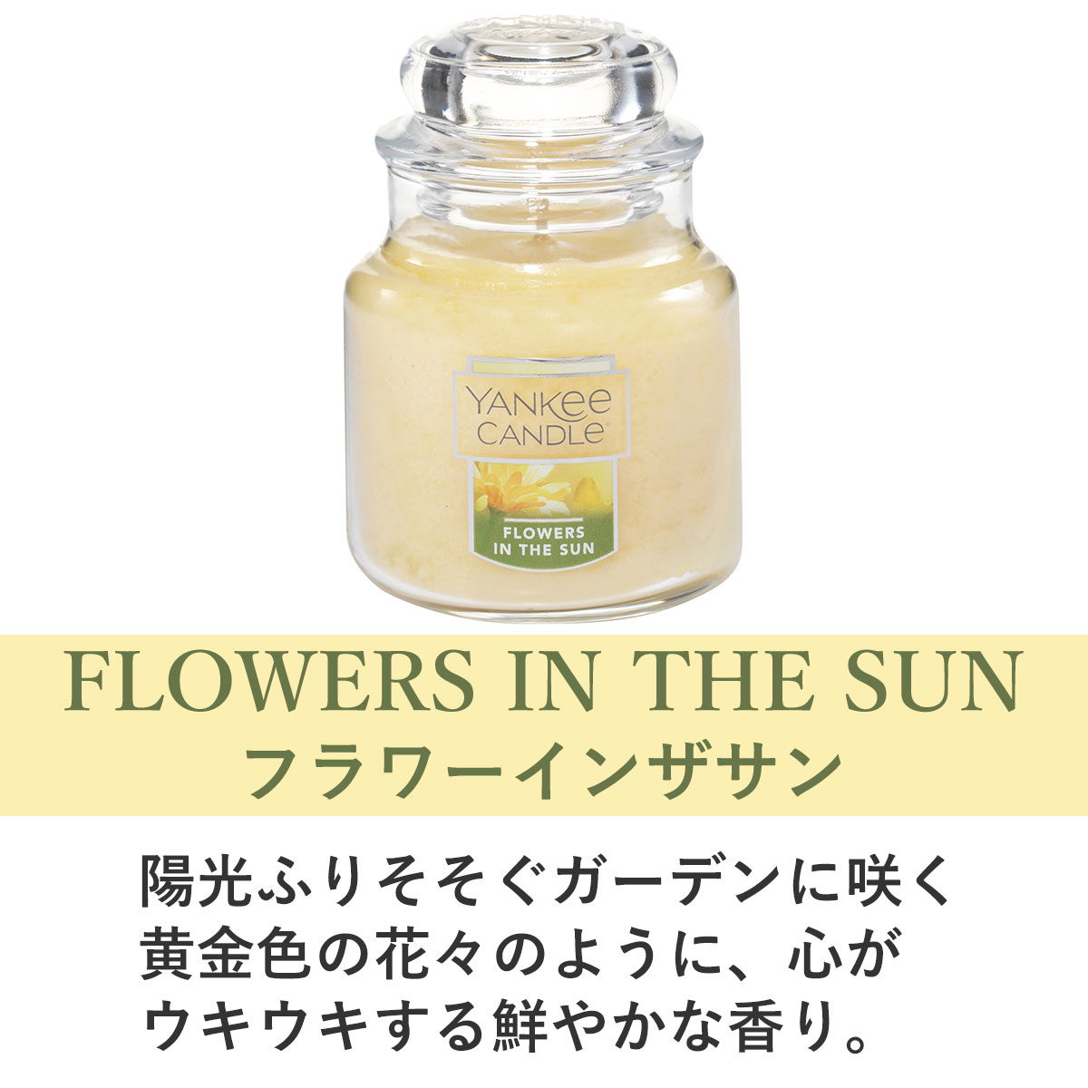 󥭡ɥ ޥɥ Ź YANKEE CANDLE 㡼S ޥɥ YCގS ̎׎܎ݎގ K00305274 A49B B3C C3D D0E E00F
